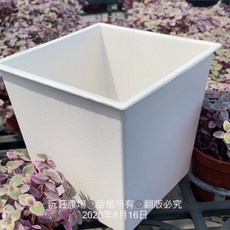 沅鈺農場 資材 白色方盆5吋 - 園藝種植盆栽首選, 1個
