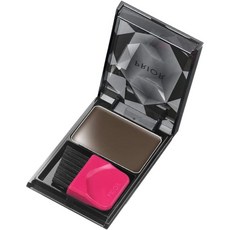 프리올 헤어 파운데이션 새치 커버 PRIOR Hair Foundation, 브라운, 1개