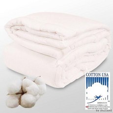 천연 SS 미국코튼마크 목화솜 이불솜 목화 S, 이불솜S 2KG