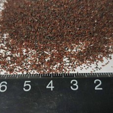 熱帶雨林砂(1公斤) 底砂 鼠沙 底棲魚、異型 砂 沙 熱帶雨林沙 鼠沙 鼠砂 小石頭 石頭 石子 石, 1個, 1公斤(超取一單最多5公斤)