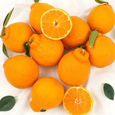 제주 한라봉 3kg (12brix 이상), 1박스