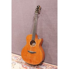 Naga S50 GAC 鄭晟河 Sungha Jung 光系列 全單板吉他, 1個