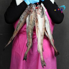 새우몰 명태코다리 특대 4마리 반건조 냉동, 1개, 2.0kg내외