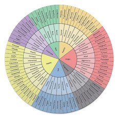 Feelings 바퀴 원형 담요 정신 건강 부드럽고 푹신한 플란넬 테라피 사무실 침대 소파 거실 홈 데코 심리 상담사 선물 89.9cm(35.4인치) Fevayeer 17722