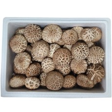 산지직송 도담 생표고버섯 [P]못난이 2kg, 1박스