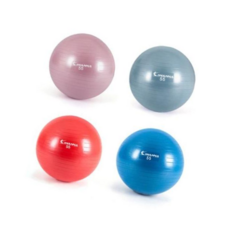 필라테스 안티버스트 짐볼 55cm, 더스티블루