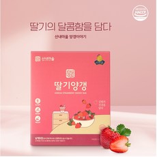 강원도 수제 딸기양갱 40g+쇼핑백, 40g, 1박스, 40g × 1박스