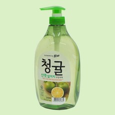 참그린 청귤 주방세정제 1kg 용기형 감귤 정제 주방용품 주방 청소 과일 향 세제 향기, 1개