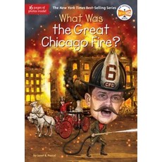 What Was the Great Chicago Fire?, Penguin Workshop