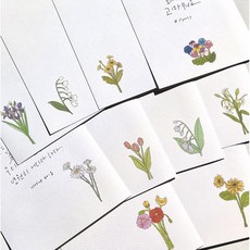 화원팩토리 캘리그라피 꽃2 엽서 캘리용 인쇄엽서 10종, A