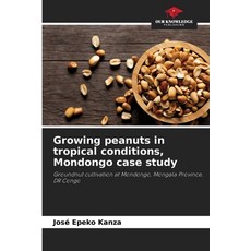 (영문도서)Growing peanuts in tropical conditions Mondongo case study Paperback, Our Knowledge Publishing, English, 9786202491723