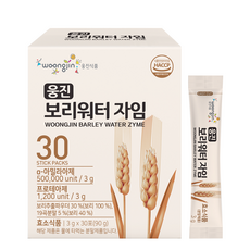 웅진 보리워터 자임 효소스틱 30포 보리차 가루 하늘 블랙, 1개, 90g