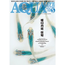 2025년 아쿠아라이프 5월호 [메다카의 미학], 단품, 단품