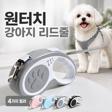 JSGO 자동감김 강아지 목줄 꼬임방지 리드줄 산책줄 소형견 중형견 대형견용, 1개, 그레이