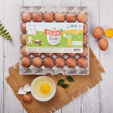 (파손보장)1등급 특란 알참참 신선한 계란 달걀 무항생제, 1개, 20구