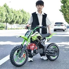 오토바이 소형 가솔린 오프로드 미니바이크 작은 린이 플래그십-핸드스타트 어, 1, H. 2행정 엔진 대형 휠 역전형 충격 흡