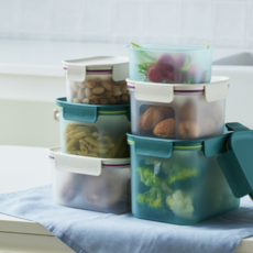 1+1 락앤락 프레쉬 프로텍트 직사각 정사각 182713, 락앤락 그린 정사각 860ML 2개