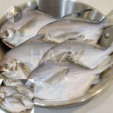 헤이지 손질 병어 10마리 비린내없는생선, 1kg, 1박스