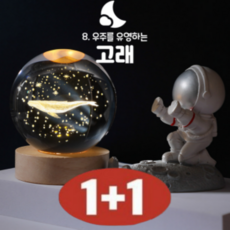 (1+1) 수정 구슬 3D 무드등 집들이선물 LED 감성 유리 구슬 크리스탈 수정구 조명, 8.고래(1+1), 1set(조명+받침대) 1+1 총 2set 배송