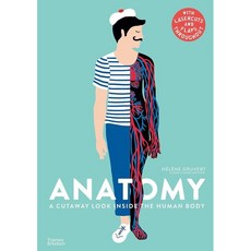Anatomy:A Cutaway Look Inside the Human Body, Thames & Hudson Ltd