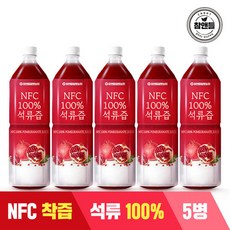참앤들황토농원 NFC 착즙원액 석류즙, 1L, 5개