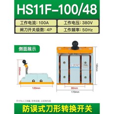 超值 三相閘刀開關單投雙向黃銅厚件隔離型刀閘 副廠產品, HS11F-100/48雙投, 1個