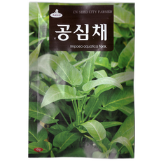 청농 공심채 씨앗 10g 모닝글로리씨, 1개