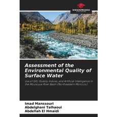 (영문도서)Assessment of the Environmental Quality of Surface Water Paperback, Our Knowledge Publishing, English, 9786630167351