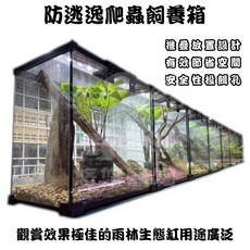 悠悠寵物 防逃逸爬蟲飼養缸 爬蟲缸 雨林缸 守宮 樹蛙 蜥蜴 爬蟲容器, 1個