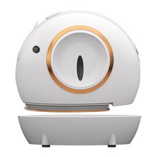 精選 110V 幹濕兩用 手持 掛燙機 家用 宿捨 便攜式小型蒸汽電熨鬥, 220V歐規