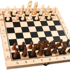 다실 두뇌훈련 체스 체커 세트, 1개, 베이지