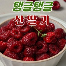 수확 발송 산딸기 생과, 2박스, 250g