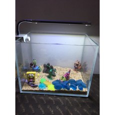 邦邦水族 海綿寶寶超白套缸 (派大星 蟹老闆 痞老闆), 1個