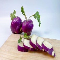 노씨고집 제주산 프리미엄 콜라비, 1개, 5kg