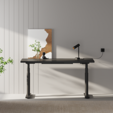 FlexiSpot 듀얼모터 모션데스크 E8 높낮이조절책상 높이625~1275mm 최대하중125KG A/S 5년 컴퓨터책상, 블랙 상판+블랙 프레임