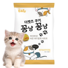 더캣츠 꽁냥꽁냥 고양이 바삭 스낵, 1개, 연어, 100g