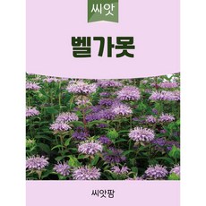 씨앗팜 벨가못 씨앗 (1000립) 허브씨앗, 1개
