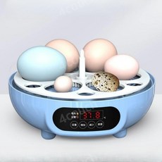병아리 부화 메추리 알 육추기 부하기 산란통 오리 닭, 6개형 - 자동, 1개
