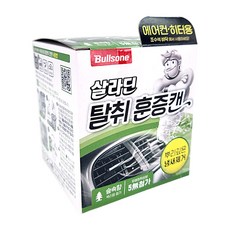 불스원 살라딘 훈증캔 차량탈취제 숲속향 본품, 65.8g, 1개