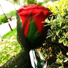 巨型仿真玫瑰花束 情人節禮物 張予曦同款 超大玫瑰花 520禮物, 1個, 巨型網紅玫瑰不珍珠款