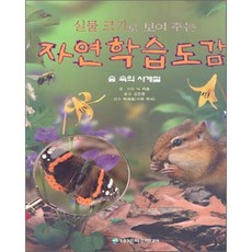 실물 크기로 보여 주는 자연학습도감 : 숲 속의 사계절, 은하수(은하수미디어)