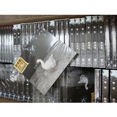 竇靖童《春遊》首張國語專輯 CD, 如圖所示
