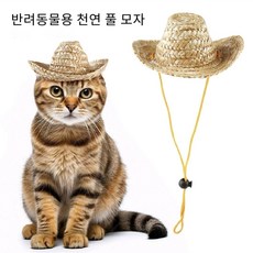Lavitree강아지 고양이 반려동물 멋진 스타일 밀짚모자, 1개, A