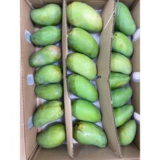 베트남 그린망고 xoai hat lep, 1박스, 2kg