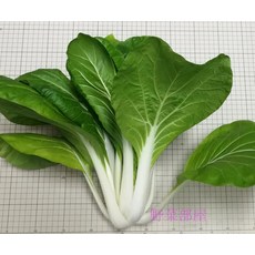 【野菜部屋~】F09 黑葉白菜種子 奶油白菜 葉片柔嫩 55公克(約22000粒), 1包