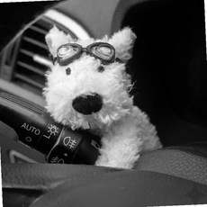안경 착용 화이트 강아지 인형 차량 송풍구 장착 흔들림 피규어 자동차 실내 장식, 1개, 상세페이지 참조