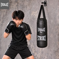에버라스트 가정용 스트라이크 미니 헤비백 복싱 권투 홈트 다이어트 샌드백, 블랙(x밴드,s고리)