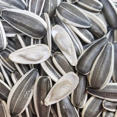 마약안주 알 굵고 고소한 대용량 구운 해바라기씨 껍질채 먹는 견과류 얇은 껍질 2.5kg, 1개