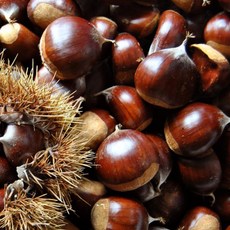 국내산 공주 밤 중과 대과 1kg 40-60과, 공주밤(중과)1kg