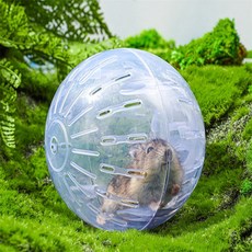 파랑새백화점 햄스터운동볼 햄스터헬스볼